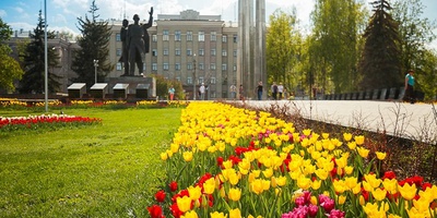 Тула "утонула" в тюльпанах