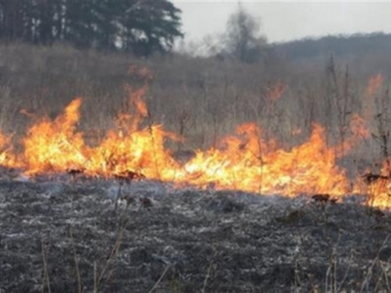 В Тульской области из-за пала травы сгорел дом