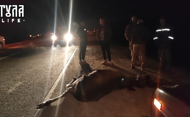 В Тульской области "десятка" сбила лося