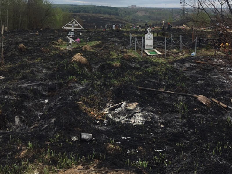 В Тульской области сгорело кладбище