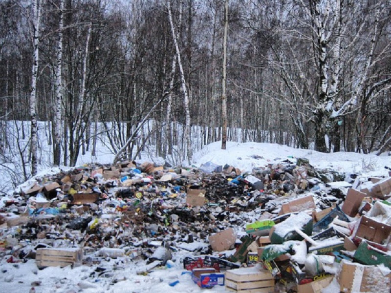 В лесах Тульской области незаконно складировали мусор