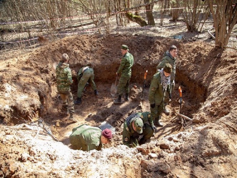В Тульской области поисковики нашли блиндажи с погибшими солдатами