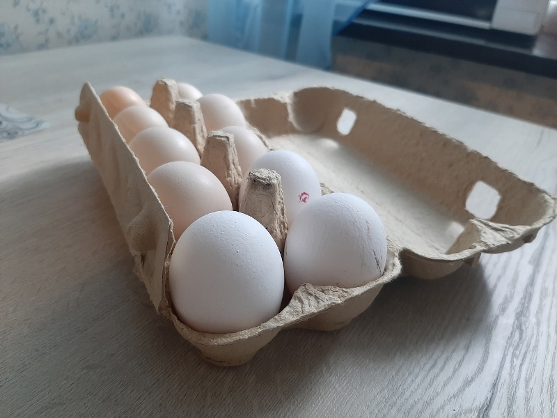ФАС возбудила четыре дела на производителей яиц