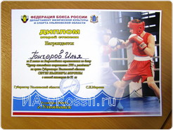 Диплом второй степени за 2 место в финале Всероссийских соревнований по боксу 