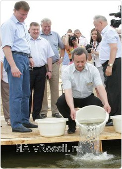 Губернатор Вячеслав Дудка участвует в выпуске мальков в реку