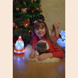 В ожидании новогоднего волшебства