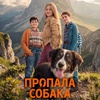 Пропала собака - Афиша в Орле