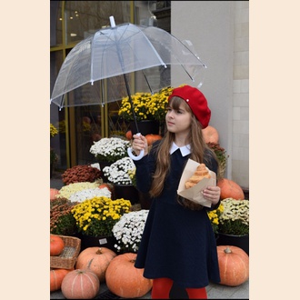 Парижская  леди