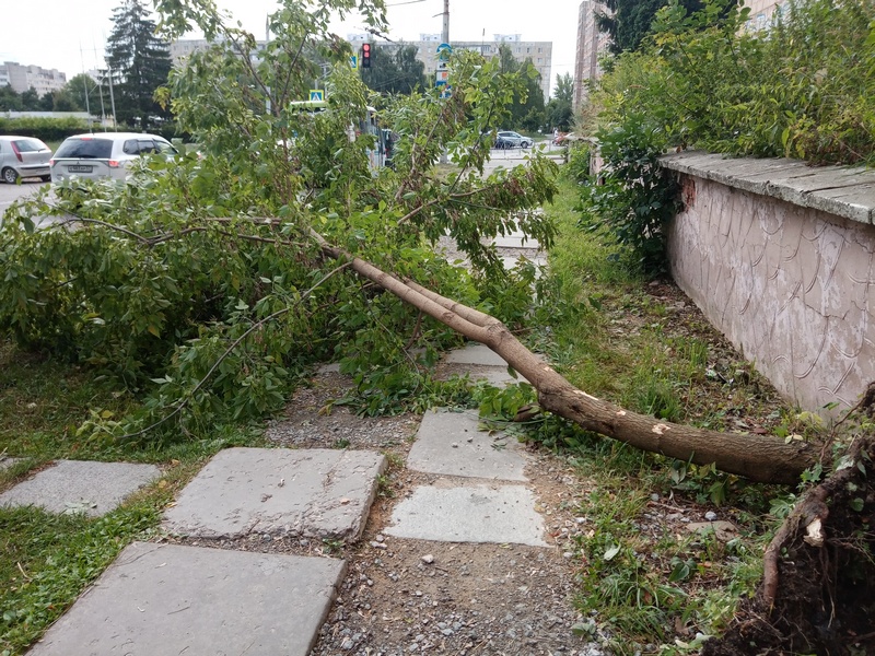 В Туле обсудили устранение последствий непогоды