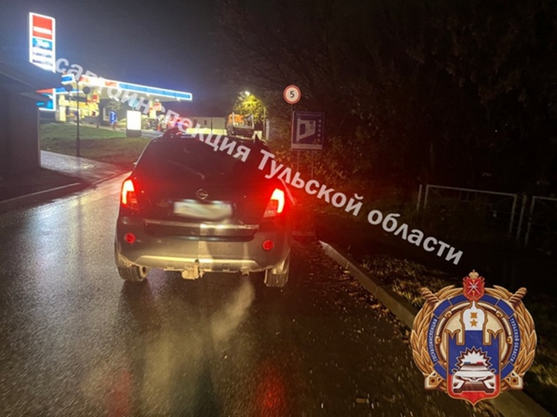 Два пешехода пострадали в ДТП в Тульской области
