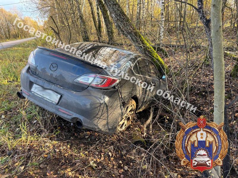 Пьяный водитель устроил ДТП с наездом на дерево
