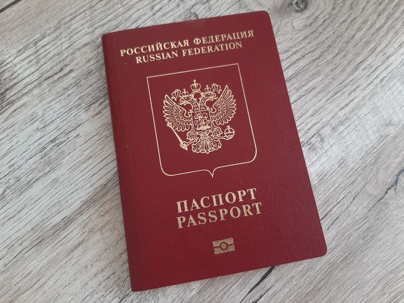 Туляков призвали проверить загранпаспорта