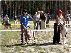 В этот день призы и титулы доставались не только четвероногим друзьям, но и их хозяевам